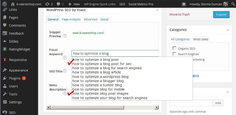 snapshot of focus keyword phrase options that I've highlighted for inclusion in my post text 