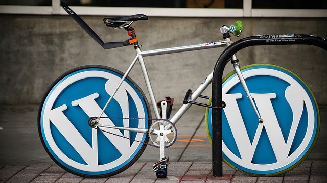 Wordpress SEOServices | Bicycle With WordPress Logo | B-SeenOnTop 