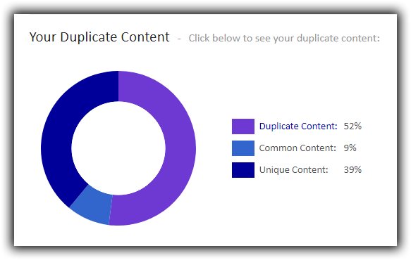 How to Structure a Website | Duplicate Content | B-SeenOnTop