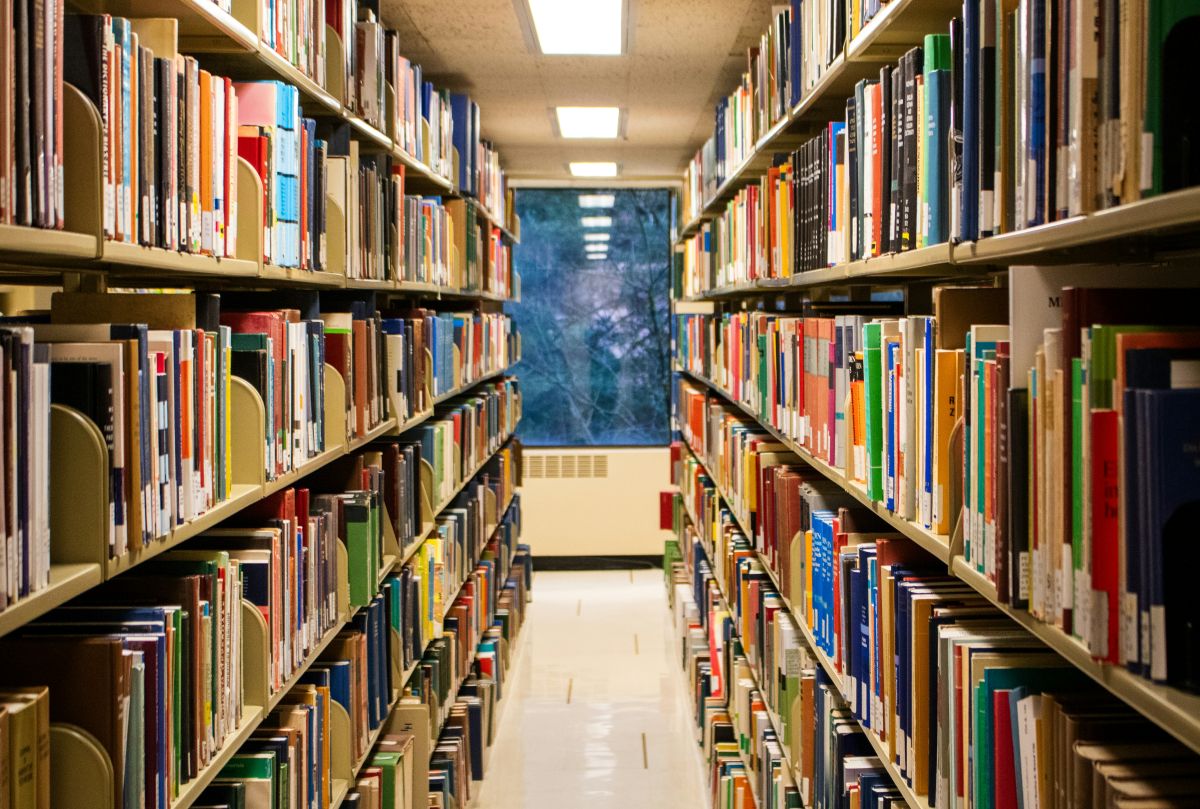 books-on-library-shelves Books on Library Shelves are accessed via keywords by a librarian | B-SeenOnTop